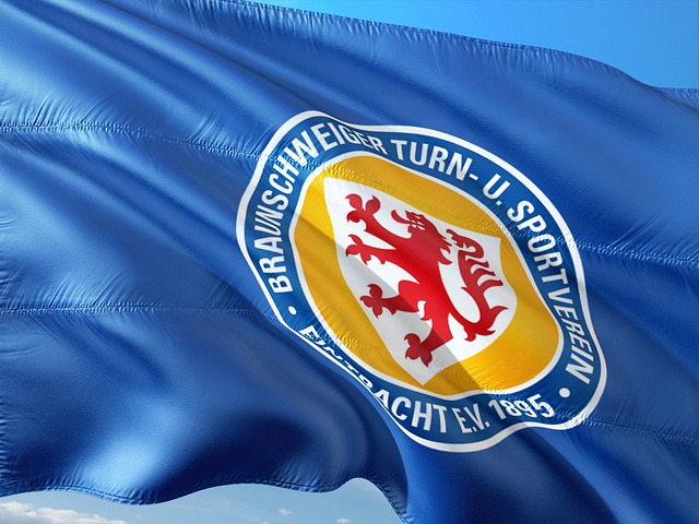 他们决定将